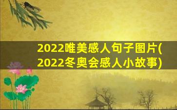 2022唯美感人句子图片(2022冬奥会感人小故事)