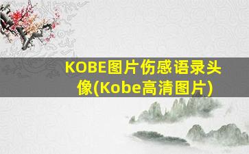 KOBE图片伤感语录头像(Kobe高清图片)
