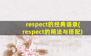 respect的经典语录(respect的用法与搭配)